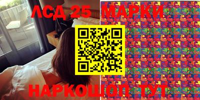 стафф Гатчина