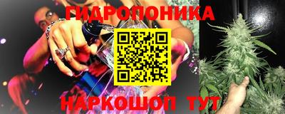 стафф Гатчина