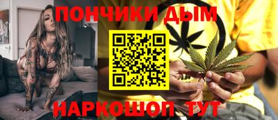 стафф Гатчина