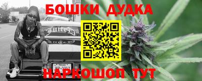 стафф Гатчина