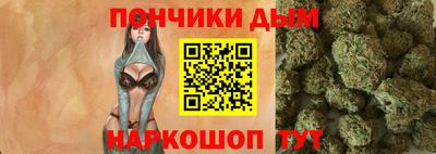 стафф Гатчина