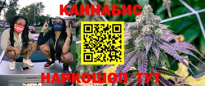 стафф Гатчина