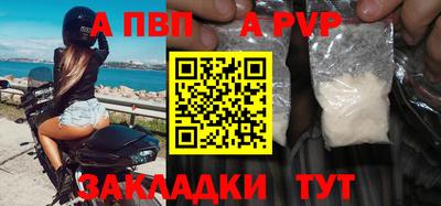стафф Гатчина