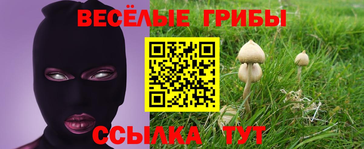 Белгород  Псилоцибиновые грибы ЛСД  Псилоцибиновые грибы GOLDEN TEACHER  Вход с VPN 